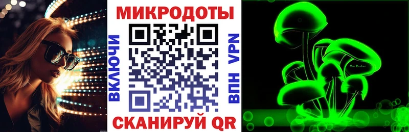 что такое   Нерюнгри  Псилоцибиновые грибы Psilocybe 